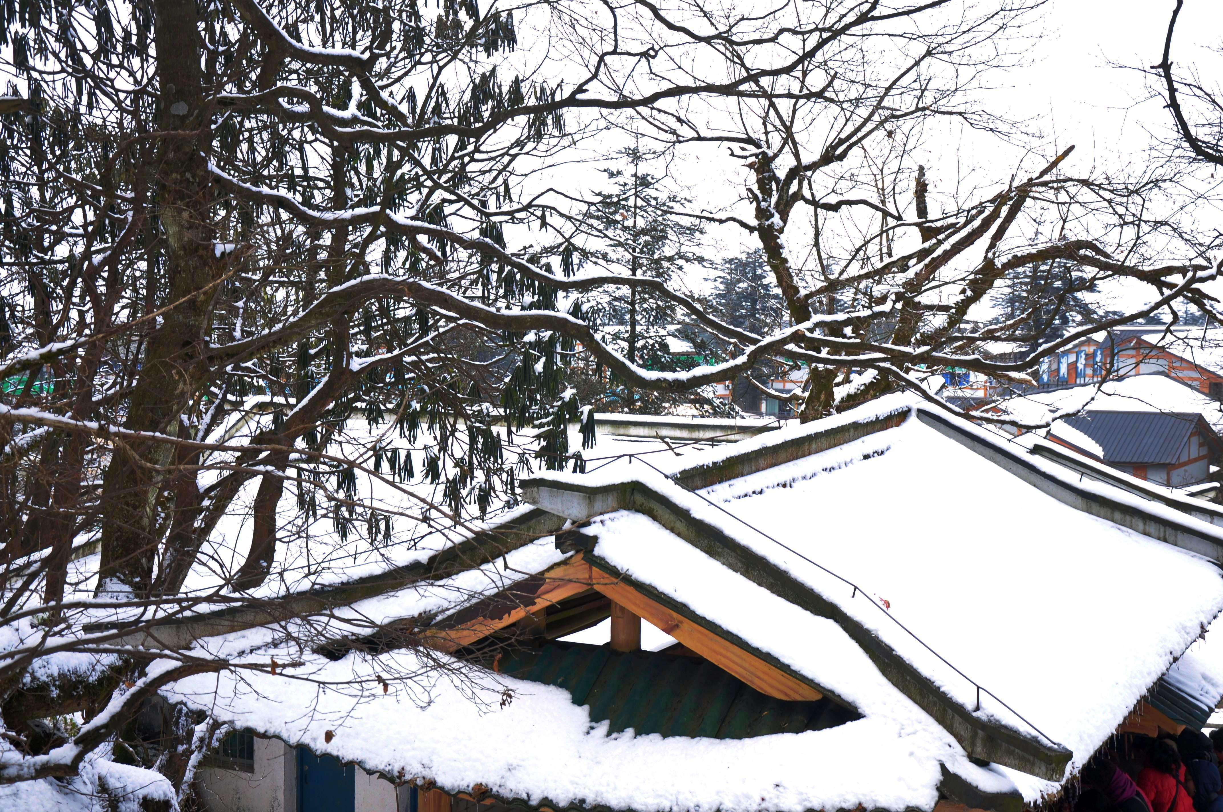 DSC_6095.JPG