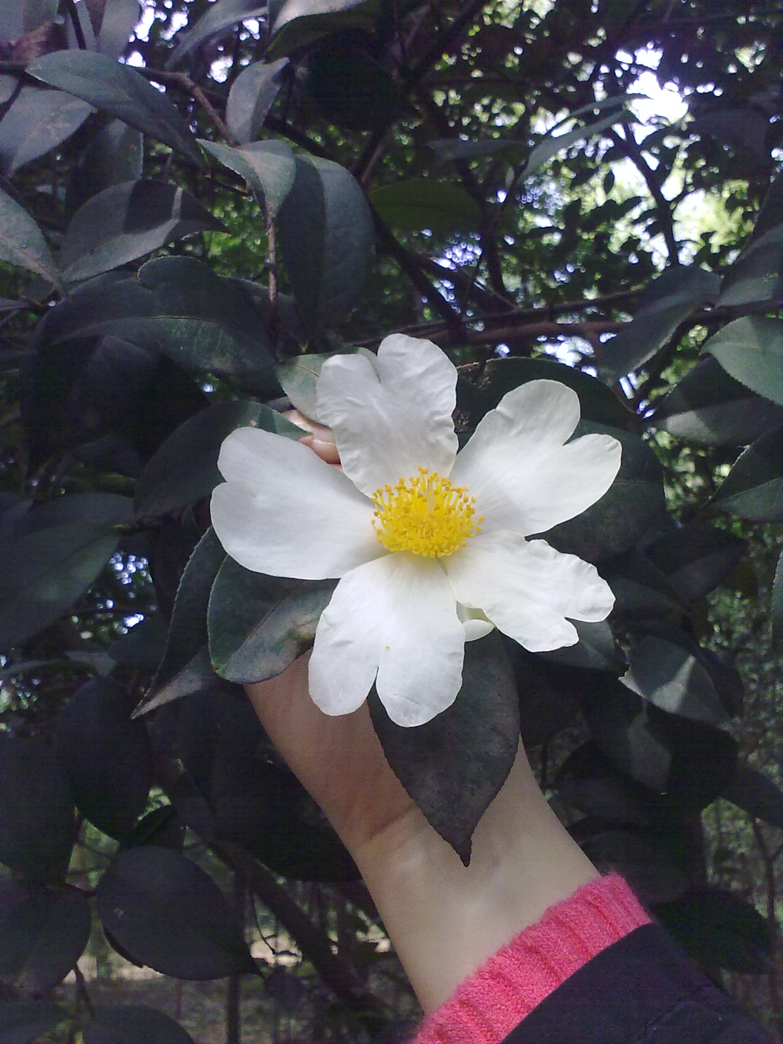 20091221700.jpg