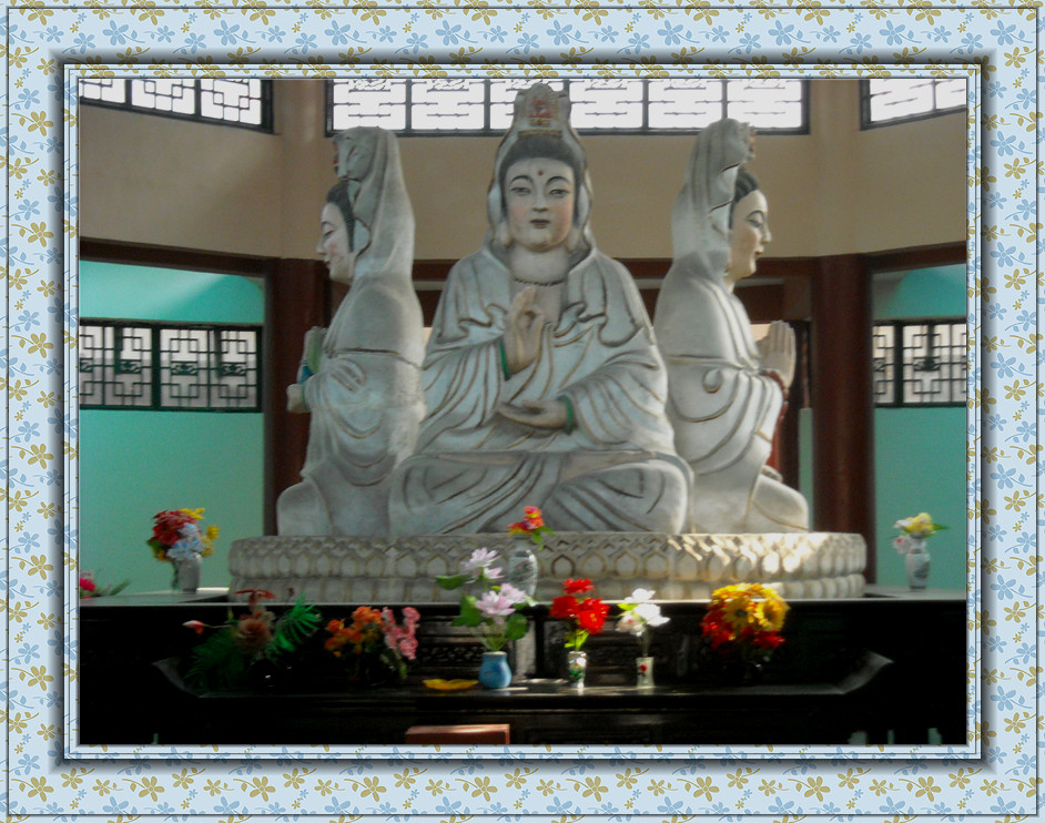 DSCN1686_.jpg