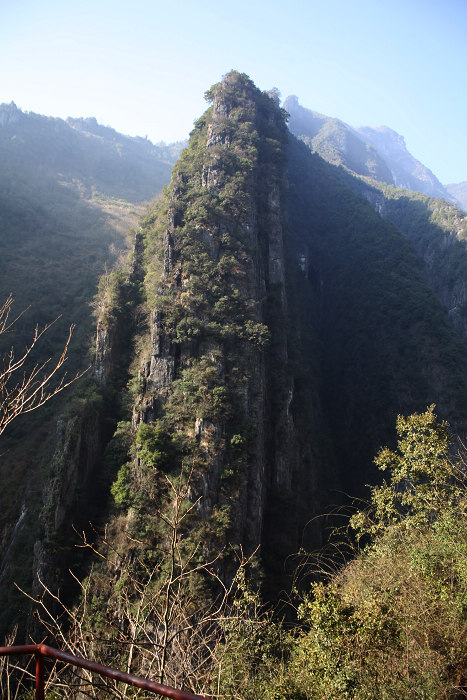 IMG_5911.JPG