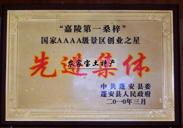 100_1810.jpg