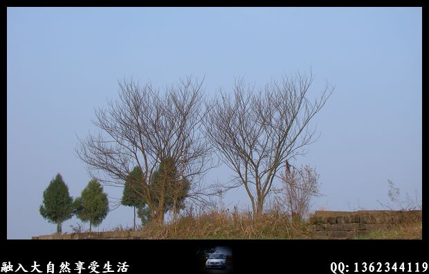 DSC02840.jpg
