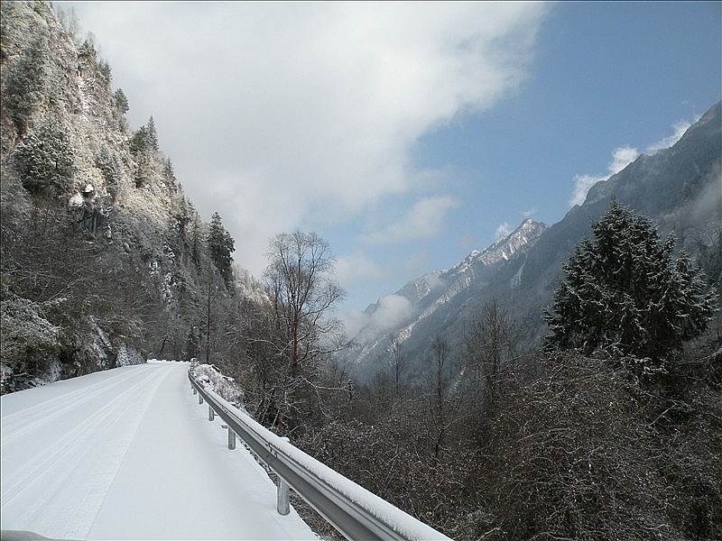 DSCN8958_.jpg