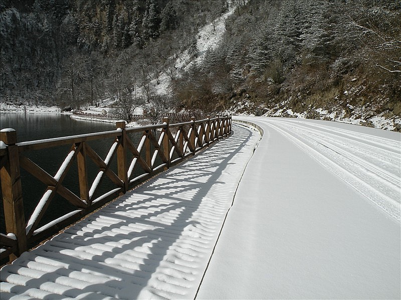 DSCN8979_.jpg