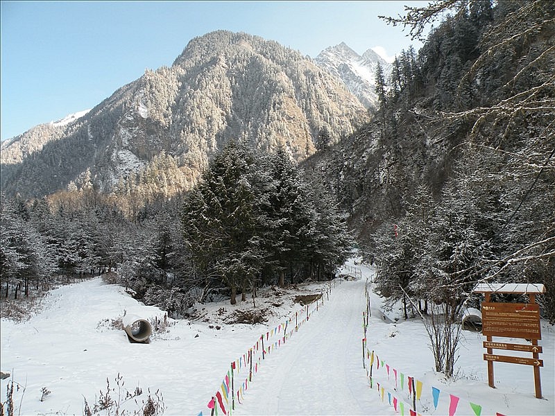 DSCN9018_.jpg