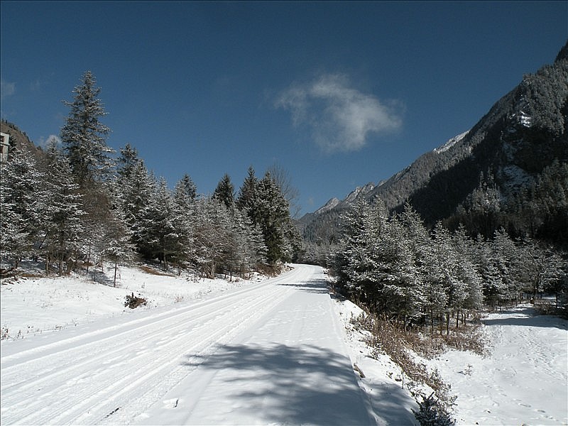 DSCN9068_.jpg