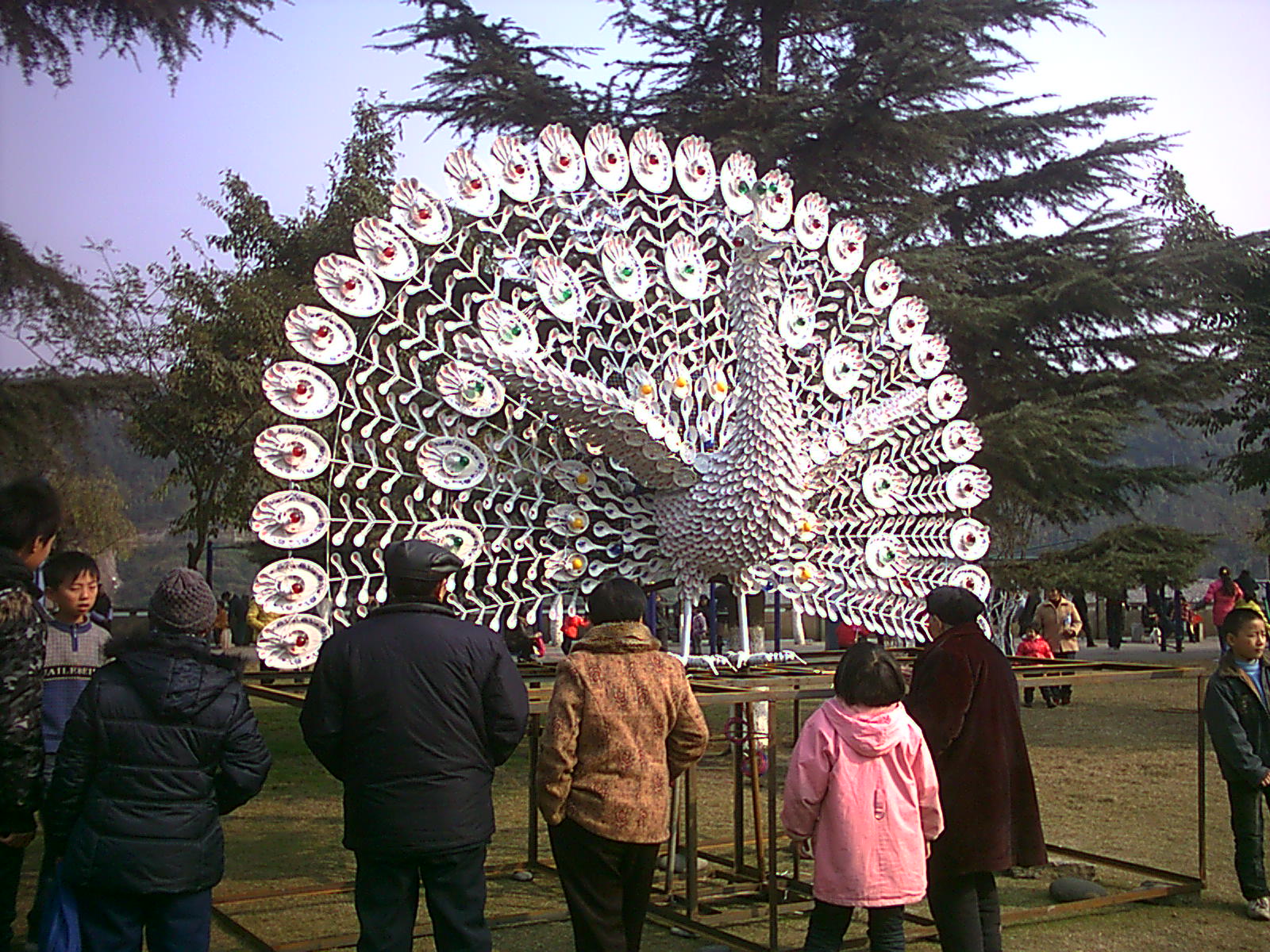 IMAG0006.JPG
