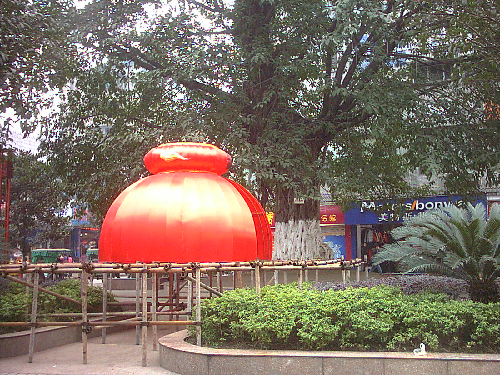 IMAG0014.JPG