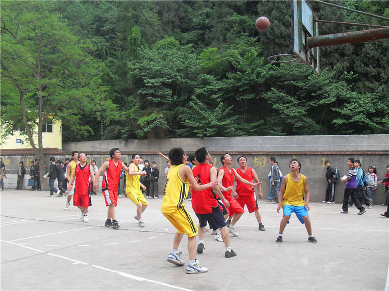 13.jpg