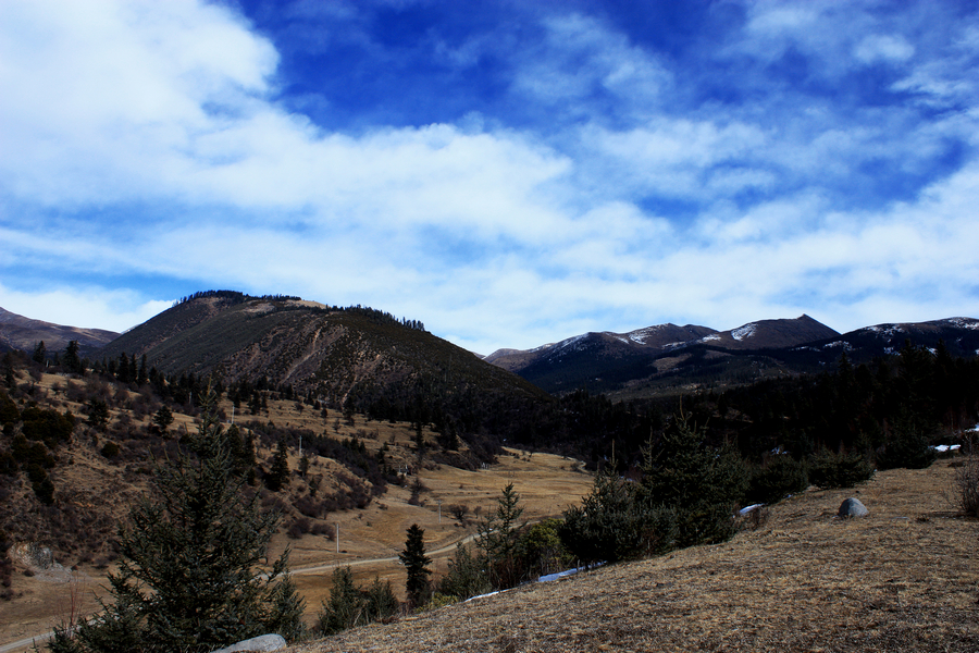 IMG_4227.jpg