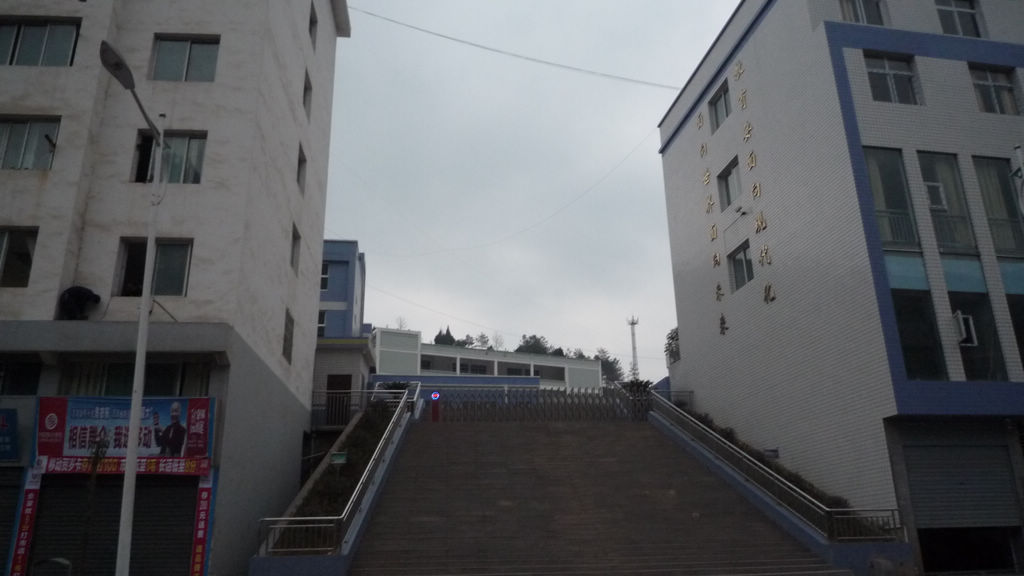 P1060161.JPG