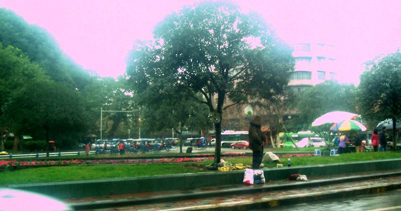 100_7845.JPG