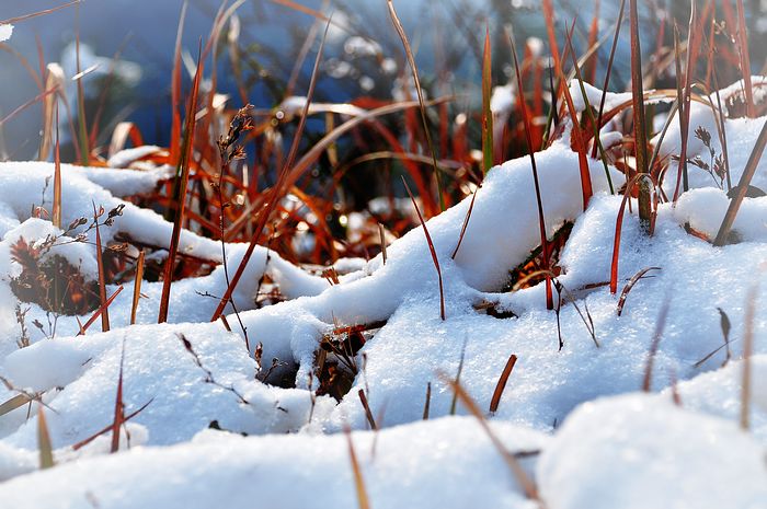 DSC_0315.jpg
