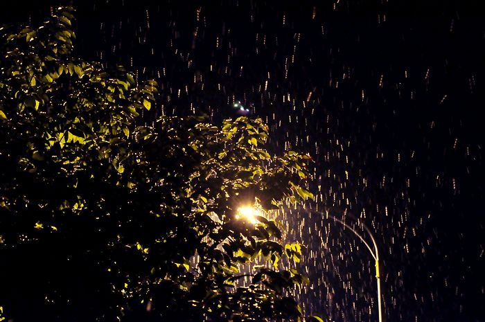 DSC_0156.jpg