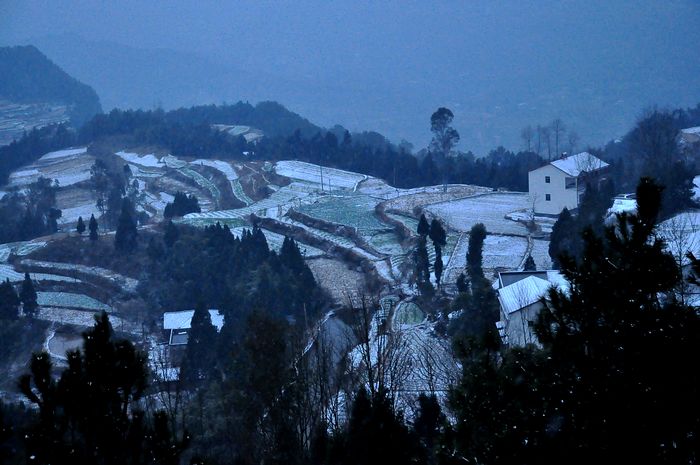DSC_0166.jpg