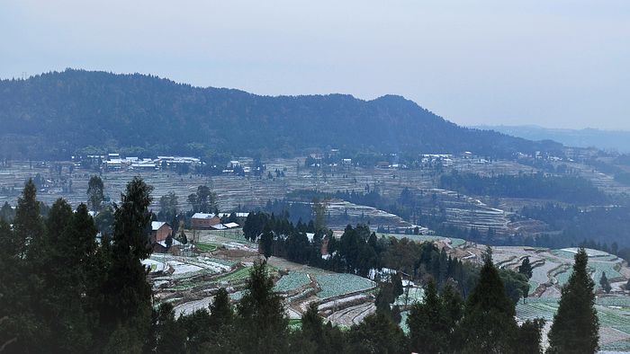 DSC_0194.jpg