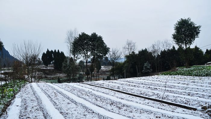 DSC_0203.1.jpg