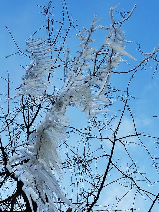 DSC_0349.jpg