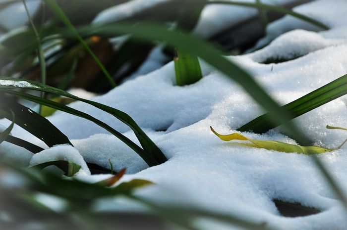 DSC_0382.jpg