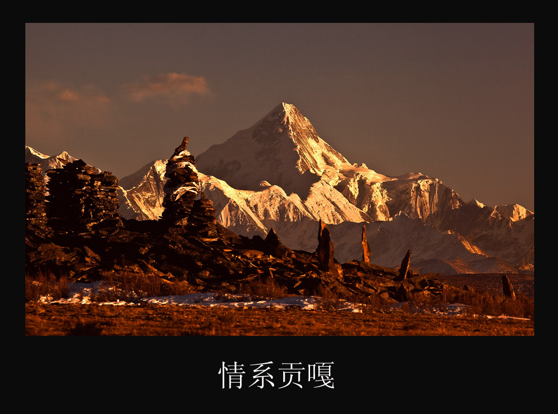 _MG_8169.jpg