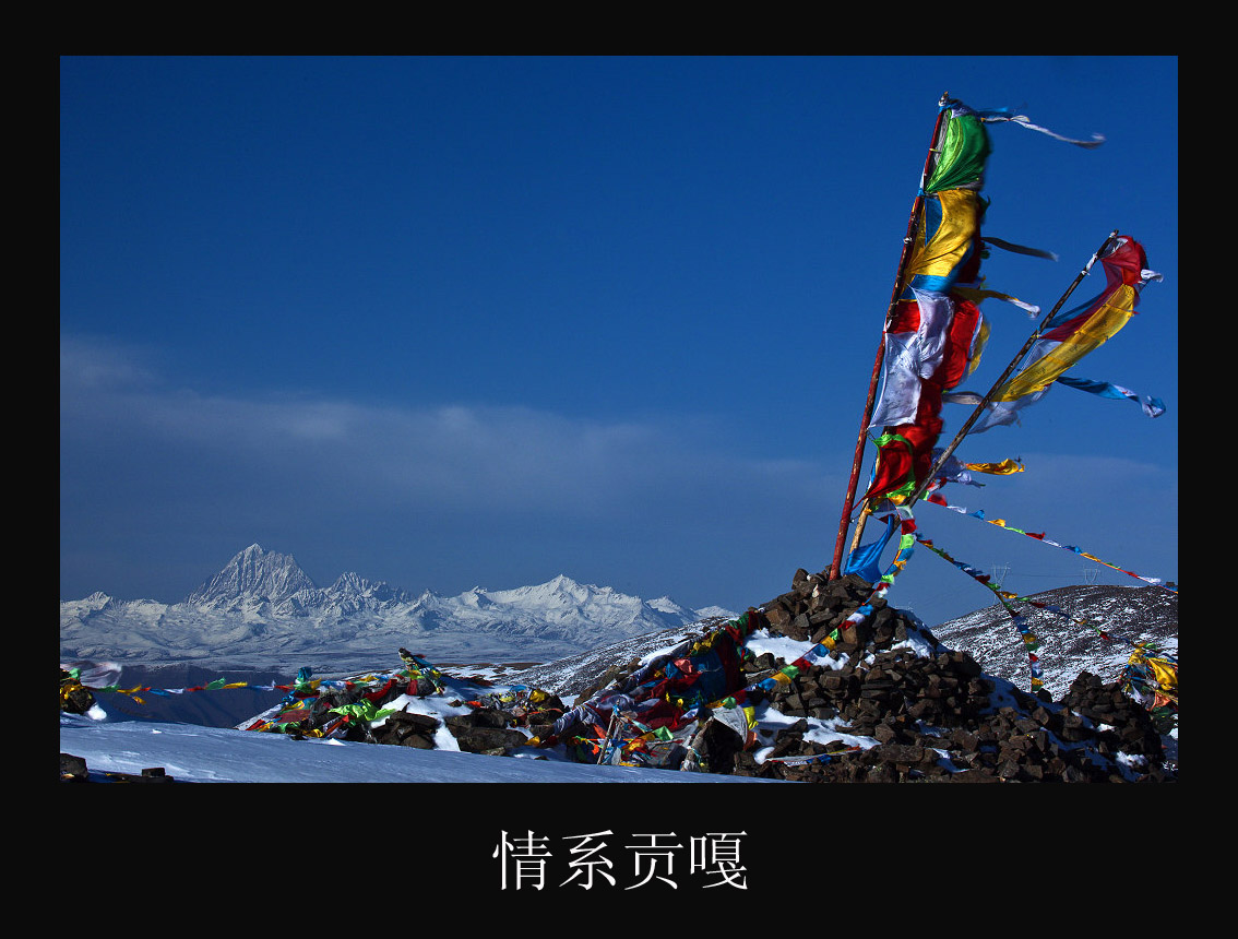 _MG_9940.jpg