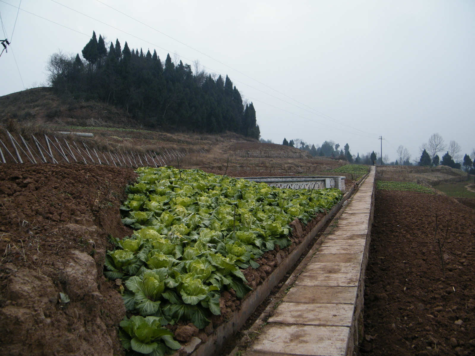 DSCF7399.JPG