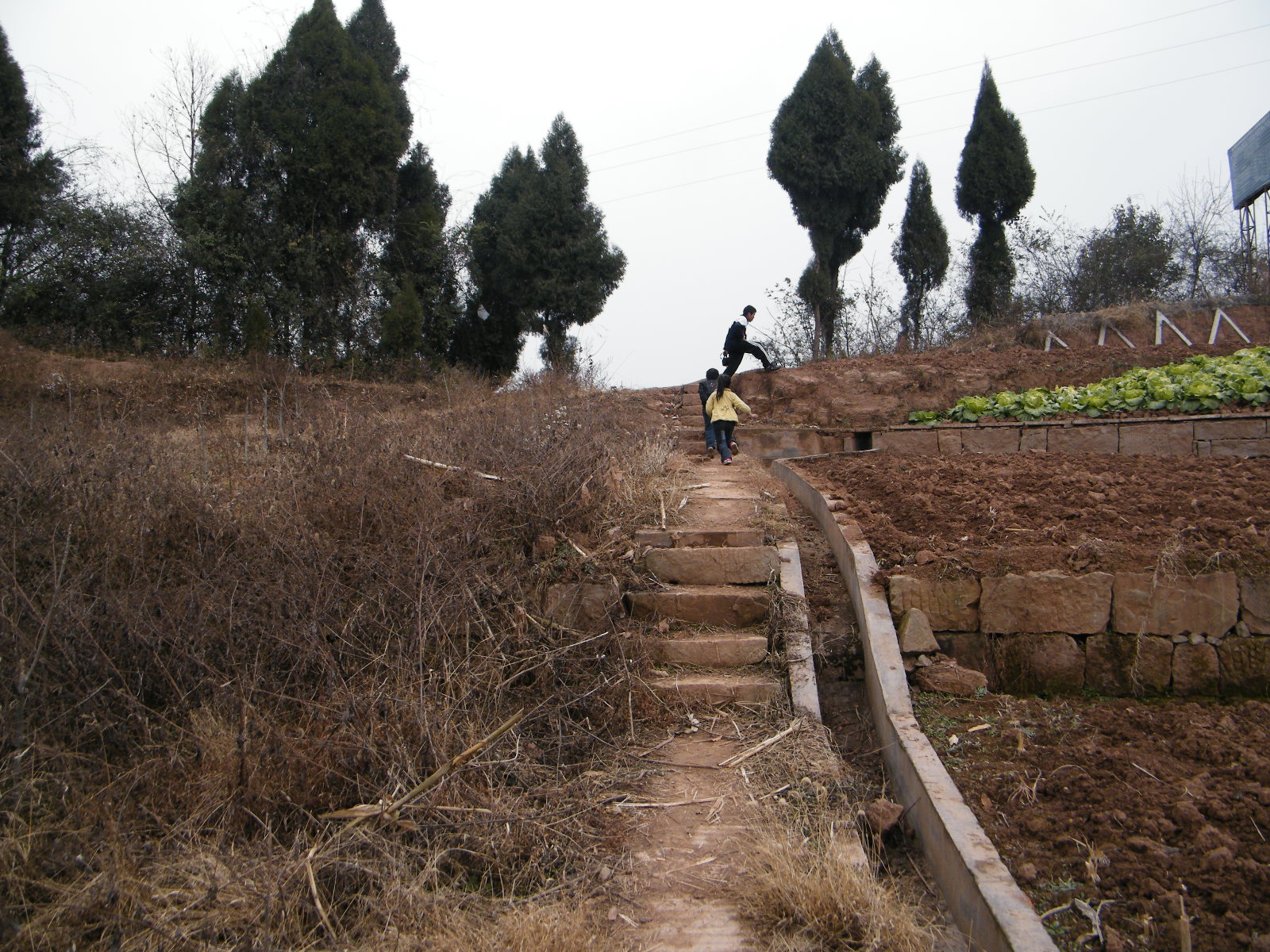 DSCF7401.JPG