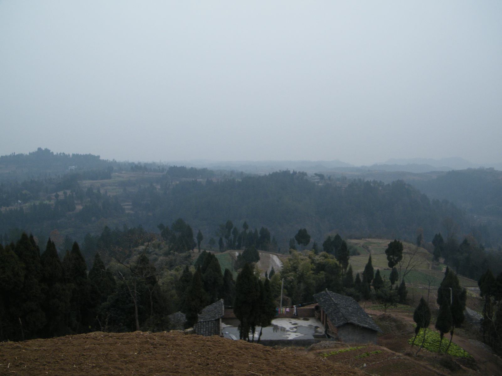 DSCF7405.JPG