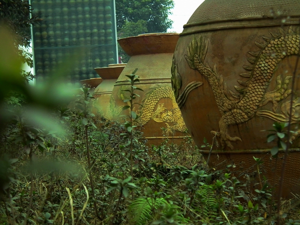 DSCF4829.jpg