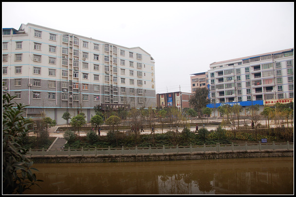 DSC_0103.jpg