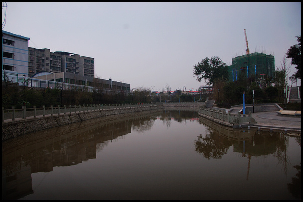 DSC_0270.jpg