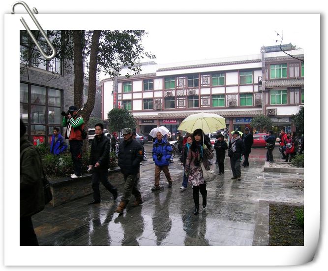 DSCN6237.jpg