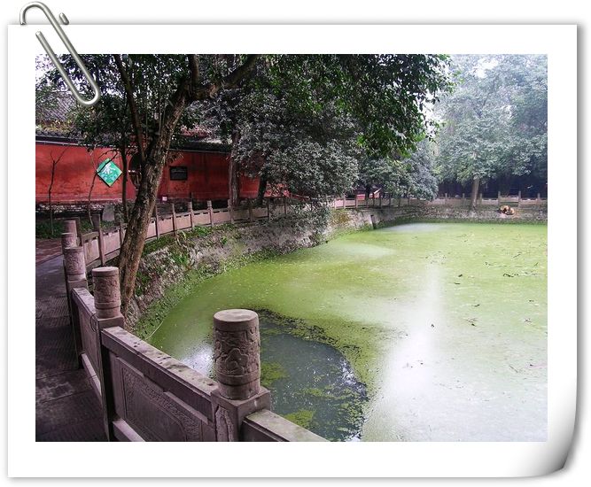 DSCN6275.jpg
