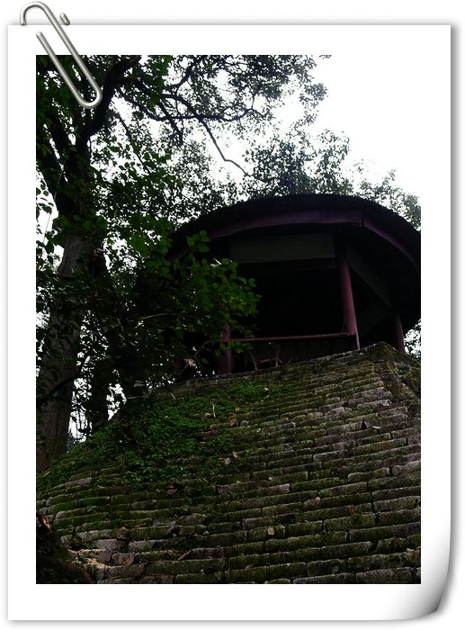 DSCN6280.jpg
