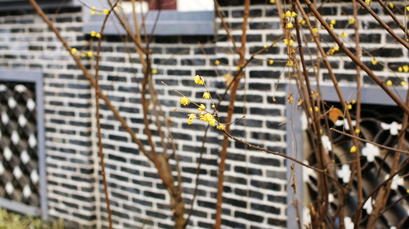 · (139).jpg
