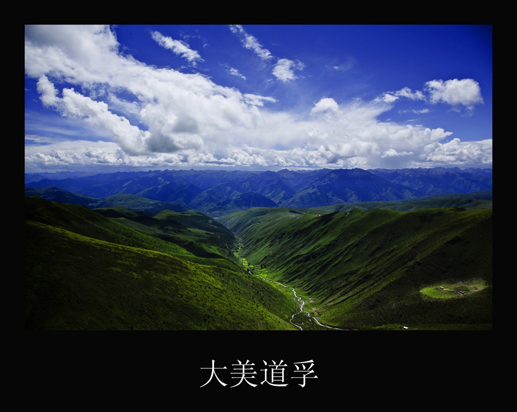 _MG_6114.jpg
