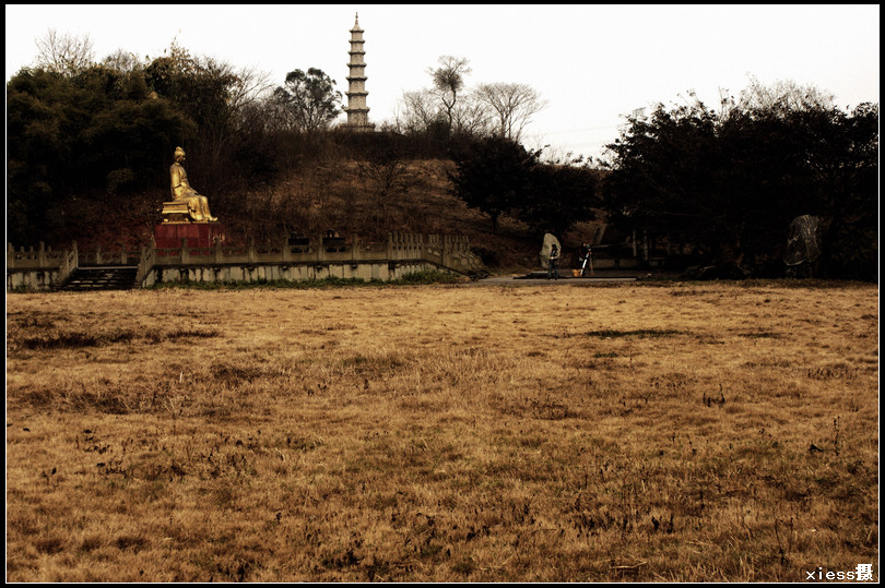 DSC03776a.jpg