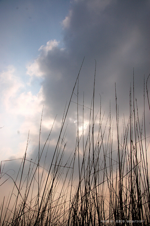 DSC_0097.jpg
