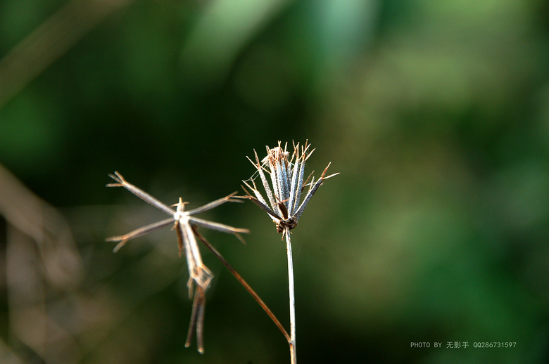 DSC_0107.jpg