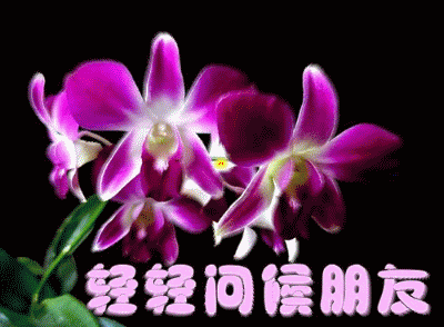 ʺunknown.cgi.gif