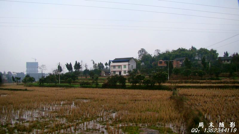 DSC03706.jpg