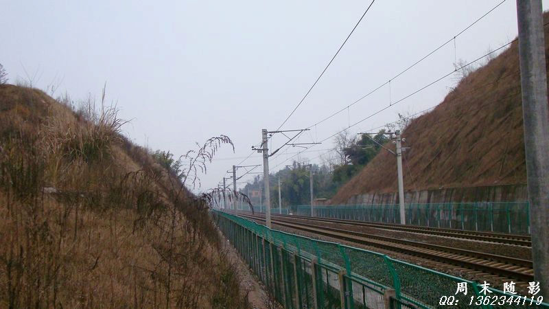 DSC03714.jpg