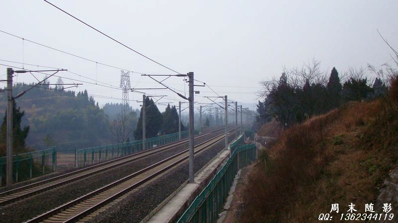 DSC03720.jpg