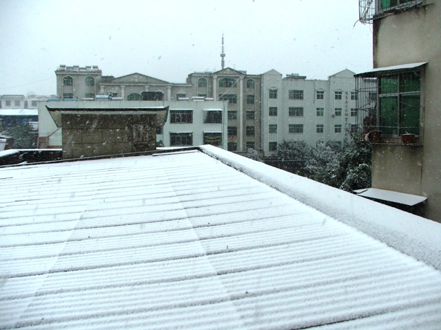 DSCF4865.JPG