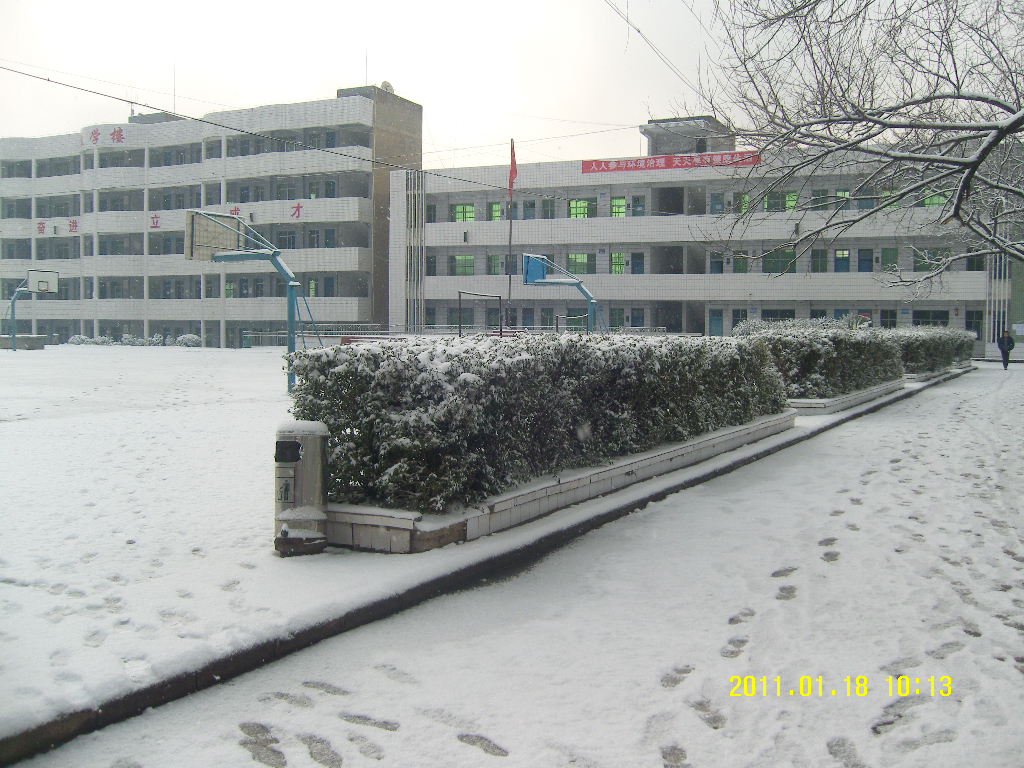 SN203970.JPG