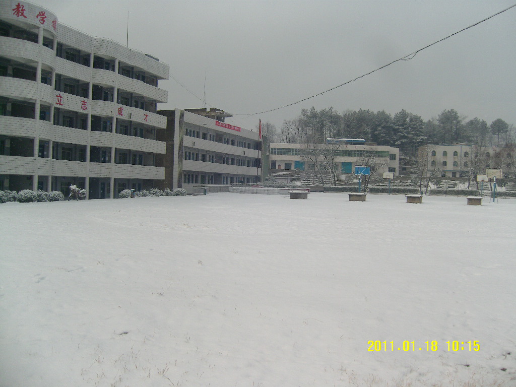 SN203981.JPG