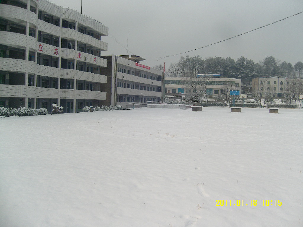 SN203977.JPG