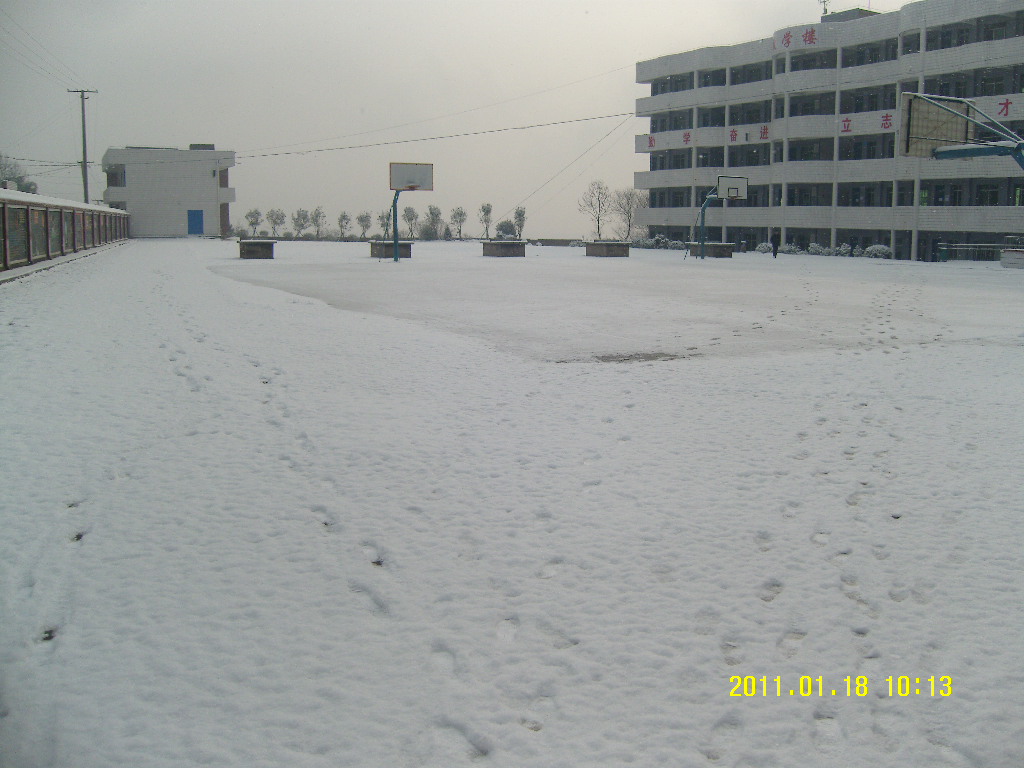 SN203972.JPG
