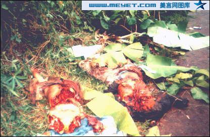 98印尼华人惨案=98年印尼华人遭遇实录