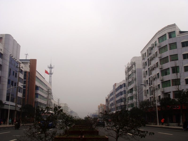 DSC00507.JPG